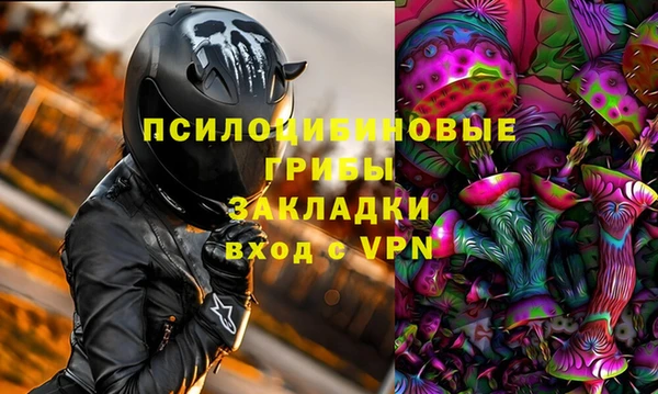 apvp Надым