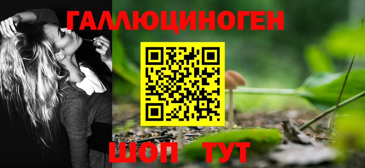 Псилоцибиновые грибы мухоморы Хабаровск