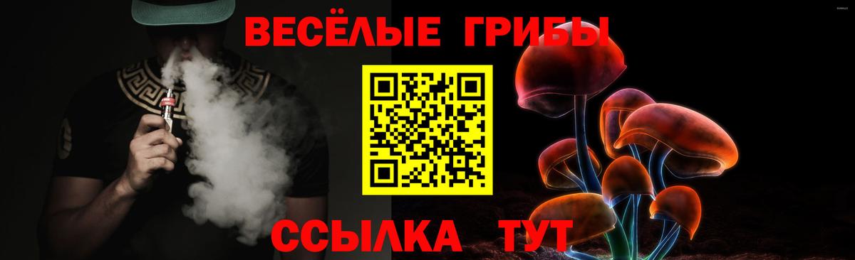 Галлюциногенные грибы Psilocybe  Вход с VPN  Хабаровск  Галлюциногенные грибы Cubensis 